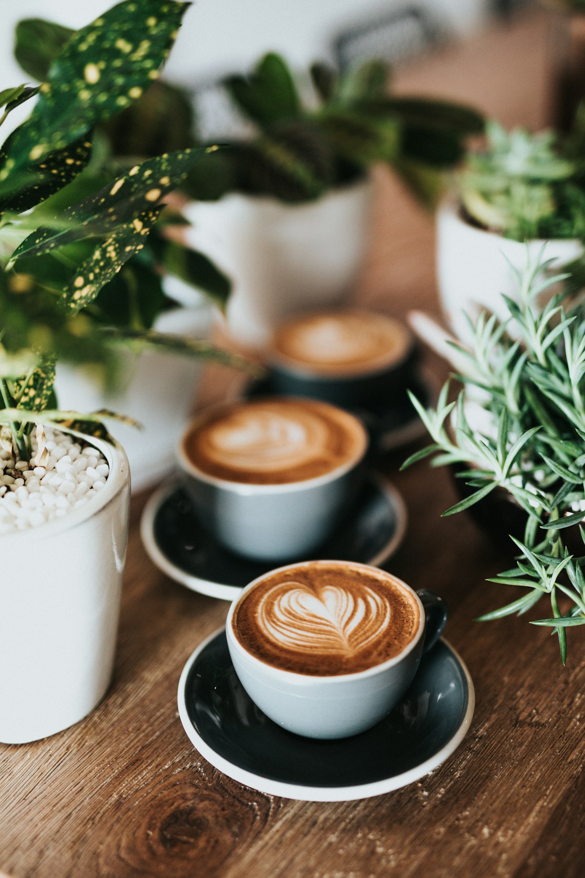 Coffee Acidity: Why It’s Not the Same as Sourness