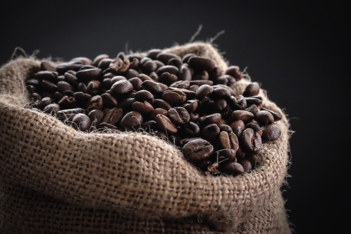 Coffee Processing Methods: Natural, Washed, and Honey Explained